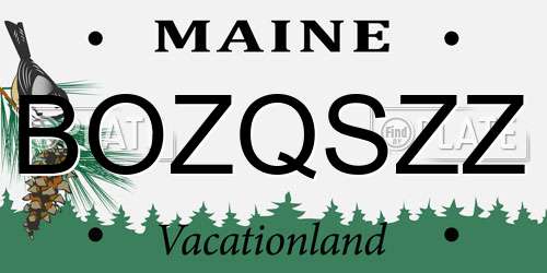 BOZQSZZ Maine License Plate
