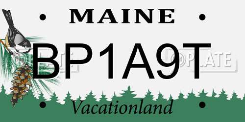 BP1A9T Maine License Plate