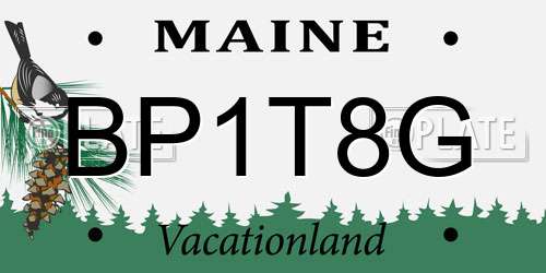 BP1T8G Maine License Plate