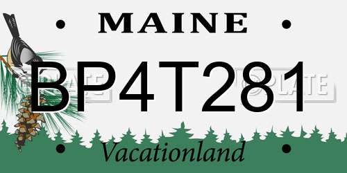 BP4T281 Maine License Plate