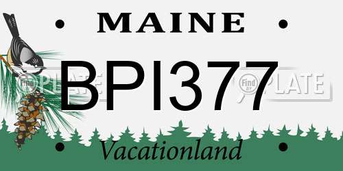 BPI377 Maine License Plate