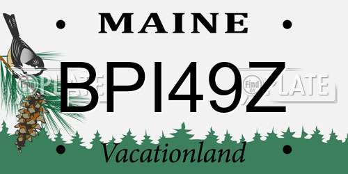 BPI49Z Maine License Plate