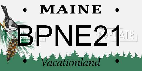 BPNE21 Maine License Plate