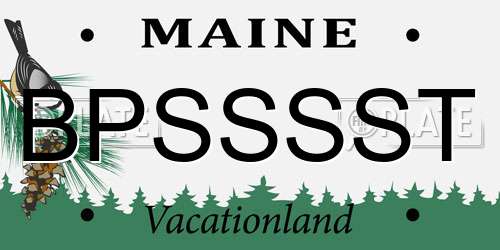 BPSSSST Maine License Plate