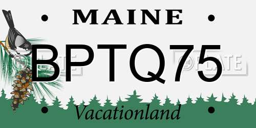 BPTQ75 Maine License Plate