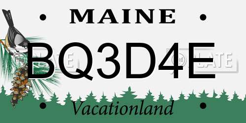 BQ3D4E Maine License Plate