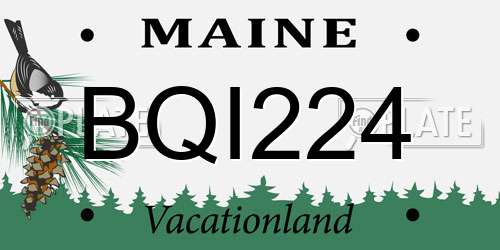 BQI224 Maine License Plate