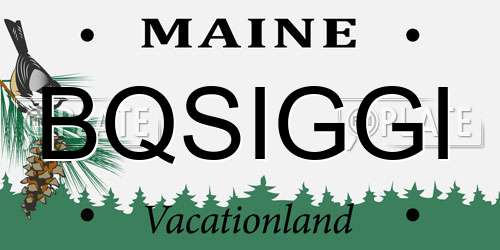 BQSIGGI Maine License Plate