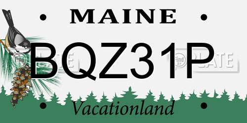 BQZ31P Maine License Plate