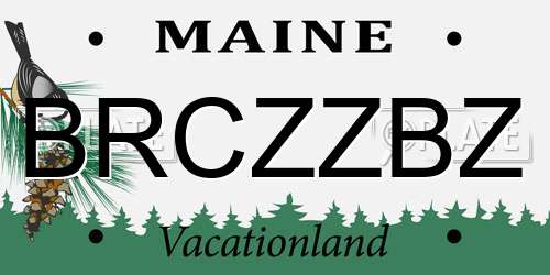 BRCZZBZ Maine License Plate