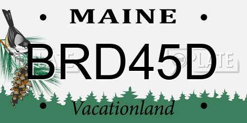 BRD45D Maine License Plate