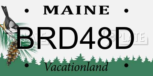 BRD48D Maine License Plate