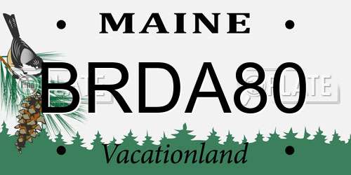 BRDA80 Maine License Plate