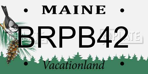 BRPB42 Maine License Plate