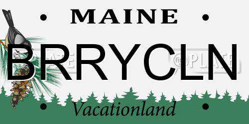 BRRYCLN Maine License Plate