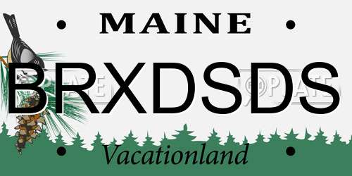 BRXDSDS Maine License Plate