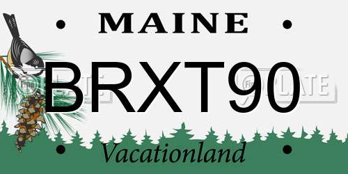 BRXT90 Maine License Plate