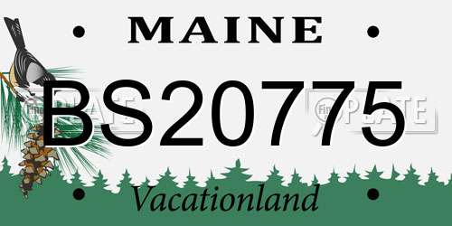 BS20775 Maine License Plate