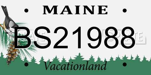 BS21988 Maine License Plate