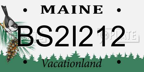 BS2I212 Maine License Plate
