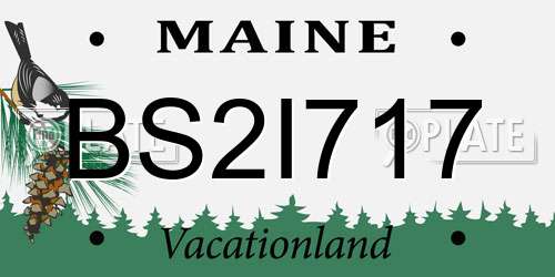 BS2I717 Maine License Plate