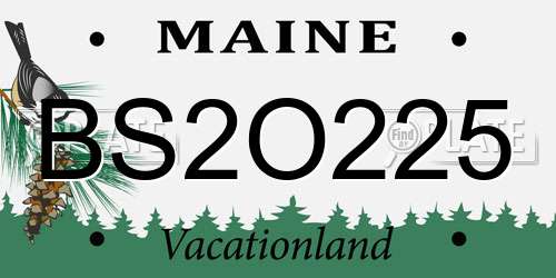 BS2O225 Maine License Plate