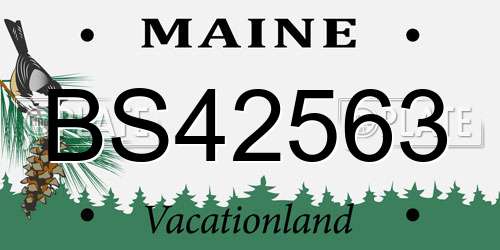 BS42563 Maine License Plate