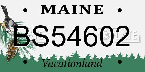 BS54602 Maine License Plate