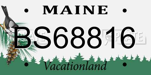 BS68816 Maine License Plate
