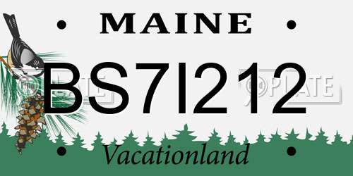BS7I212 Maine License Plate