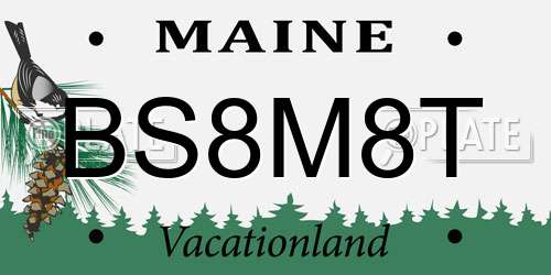 BS8M8T Maine License Plate