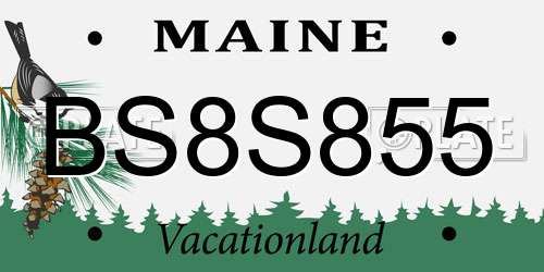 BS8S855 Maine License Plate
