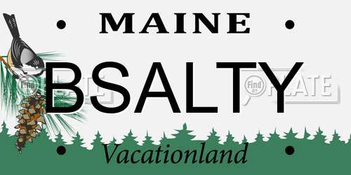 BSALTY Maine License Plate