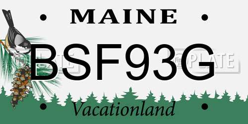 BSF93G Maine License Plate