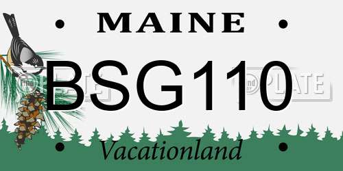 BSG110 Maine License Plate