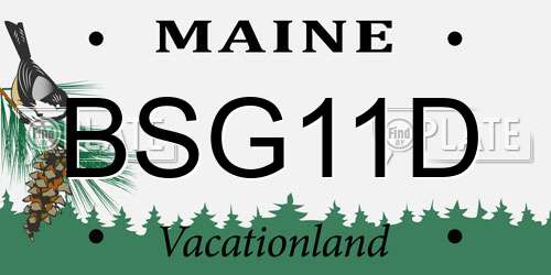 BSG11D Maine License Plate