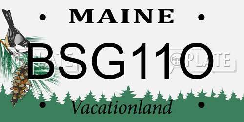 BSG11O Maine License Plate