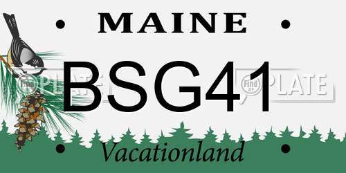 BSG41 Maine License Plate