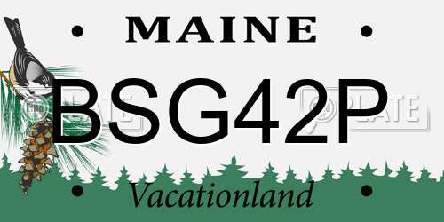 BSG42P Maine License Plate
