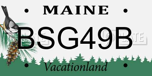 BSG49B Maine License Plate