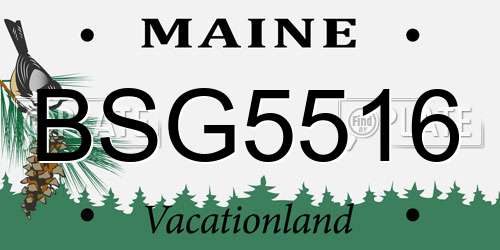 BSG5516 Maine License Plate