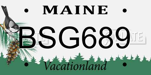 BSG689 Maine License Plate