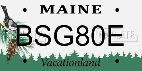 BSG80E Maine License Plate
