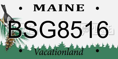 BSG8516 Maine License Plate