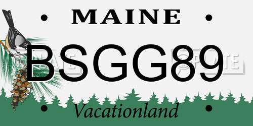BSGG89 Maine License Plate