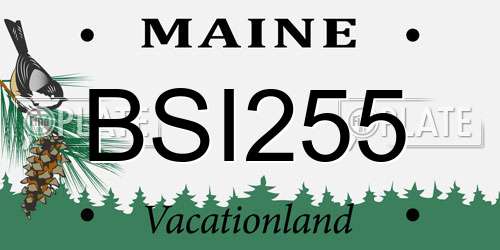 BSI255 Maine License Plate