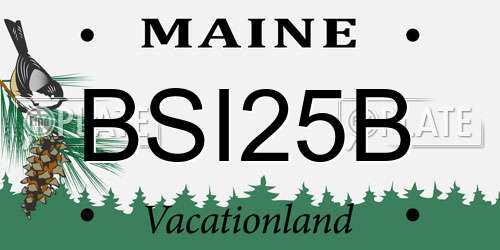 BSI25B Maine License Plate