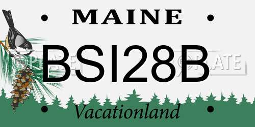 BSI28B Maine License Plate