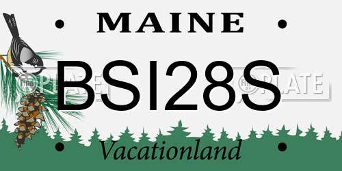 BSI28S Maine License Plate