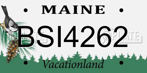 BSI4262 Maine License Plate